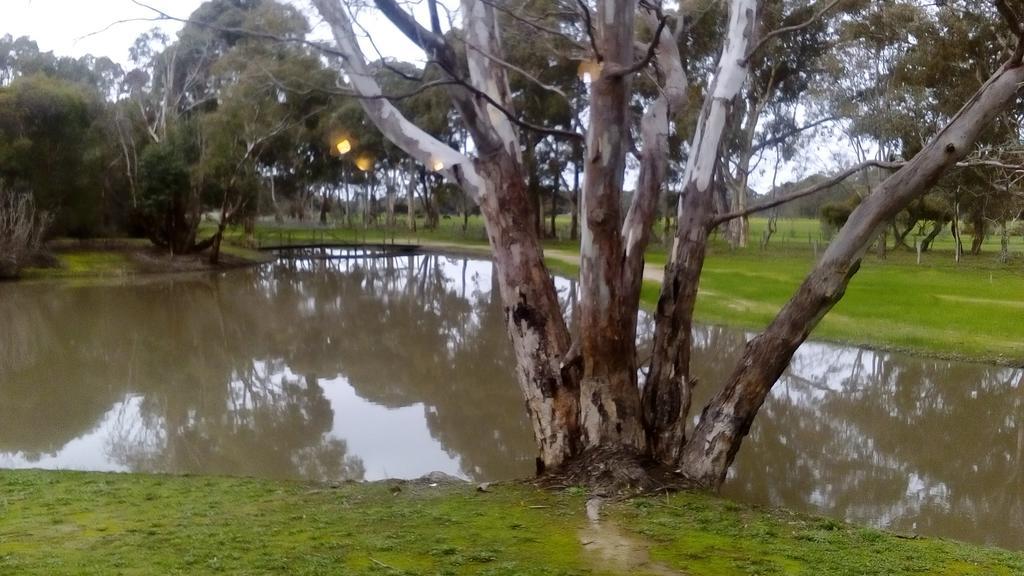 Magdala Motor Lodge & Lakeside Restaurant Stawell Ngoại thất bức ảnh